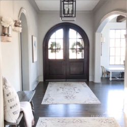 sherwin williams , colonnade gray , arch doors , arch entry , grey wash floors, hardwood, sugarboo, rugs usa , vintage rug